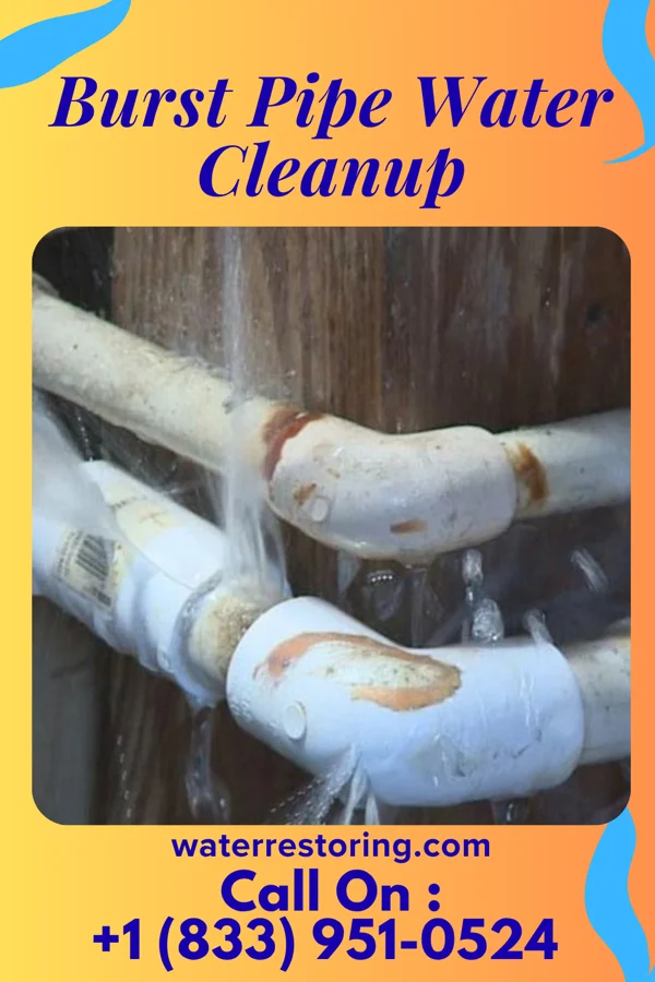 Burst Pipe Water Cleanup in New Athens, OH