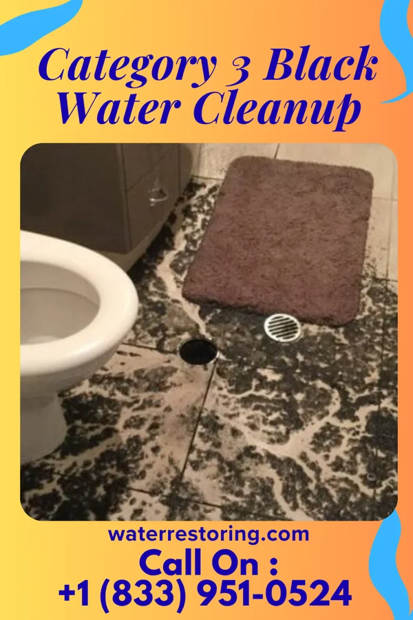 Category 3 Black Water Cleanup in New Athens, OH