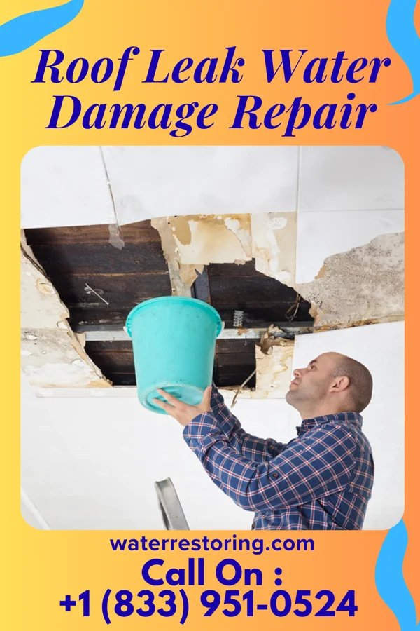 Roof Leak Water Damage Repair in New Athens, OH