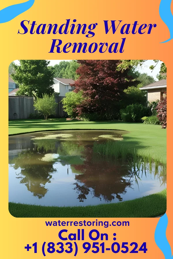 Standing Water Removal in New Athens, OH